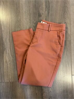 a new day Women's Rust-Orange Chino Pants